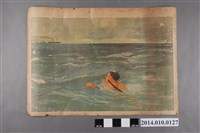 藏品(教育掛圖之動脈解說)的圖片