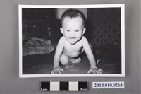 藏品(床鋪上嬉戲的孩童)的圖片