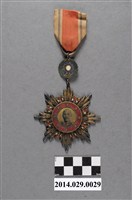 藏品(抗戰勝利徽章)的圖片