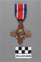 藏品(八七水災徽章)的圖片