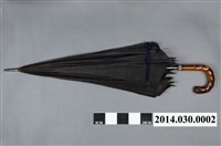 藏品(雨傘)的圖片