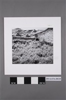 藏品(望安塌廢的大宅遺跡          )的圖片