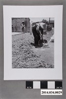 藏品(高粱豐收時                     )的圖片