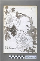 藏品(謝招治畫稿第13冊「花卉水墨畫」)的圖片