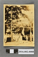 藏品(張星賢代表日本參加「第十屆遠東大會」與隊友於菲律賓日本選手後援會本部合照)的圖片