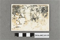 藏品(外國桌球女選手在西德參賽練習照)的圖片