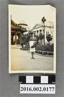 藏品(張星賢之二媳婦的菲律賓友人於國立台灣博物館)的圖片