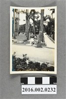 藏品(張星賢之二媳婦的菲律賓友人於台北新公園合照)的圖片