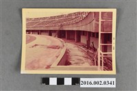 藏品(綜合運動場之一隅)的圖片