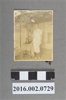 藏品(鄭新合)的圖片