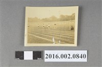 藏品(運動場女選手競賽照)的圖片