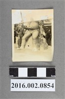 藏品(張星賢於日本)的圖片