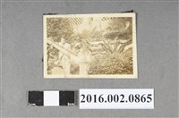 藏品(張星賢之大弟張志賢與友人於青年會合照)的圖片