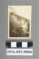 藏品(張星賢之母陳葉與二子（張志賢、張學賢）及親友於福州鼓嶺合照)的圖片