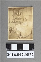 藏品(鄭新合)的圖片