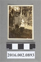 藏品(張星賢之長子與友人於北京合照)的圖片