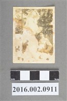 藏品(張志賢戶外與雕像照)的圖片