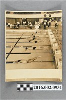 藏品(第三屆亞洲運動大會於日本東京舉行的男子游泳競賽)的圖片