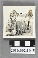 藏品(張星賢與織田幹雄、廖漢水等人於環島參訪合照)的圖片