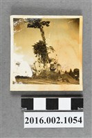 藏品(張星賢任職合庫桃園支庫經理與副理曾梅芳等同仁出遊合照)的圖片