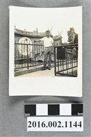 藏品(鄭新合之堂弟於埔里廟宇獨照)的圖片