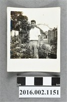 藏品(鄭新合之堂弟於埔里自宅庭園獨照)的圖片