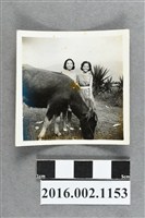 藏品(鄭新合之外甥女與友人合照)的圖片