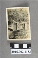 藏品(鄭新合於花蓮縣太魯閣國家公園吊橋前)的圖片