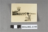 藏品(鄭新合於屏東楓港)的圖片