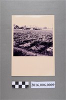 藏品(遠望南村草堂)的圖片