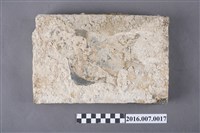 藏品(善化陳宅烏磚)的圖片