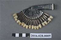 藏品(Biodent牙科用比色板)的圖片