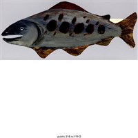 藏品(手繪鮭魚繪畫 )的圖片