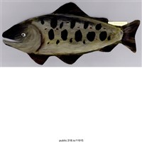 藏品(手繪鮭魚繪畫 )的圖片