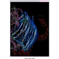 藏品(一個黑箱裡有太陽花繪畫 )的圖片