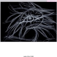 藏品(一朵花心有一隻眼睛的太陽花繪畫 )的圖片