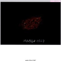 藏品(繪畫 )的圖片