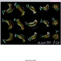 藏品(香蕉和太陽花繪畫 )的圖片