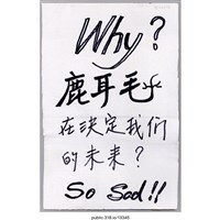 藏品(「Why鹿耳毛在決定我們的未來？」標語 )的圖片