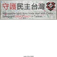 藏品(「守護民主台灣」布條 )的圖片