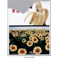 藏品(太陽花田及香蕉合成人像照片 )的圖片