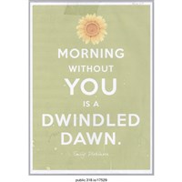 藏品(外語標語 )的圖片