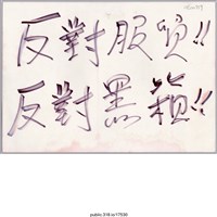 藏品(「反對服貿！！」標語 )的圖片