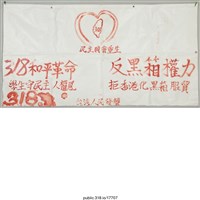 藏品(「反黑箱權力」布條 )的圖片