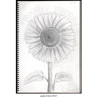 藏品(「我來，為了我自己的未來！」文件 )的圖片