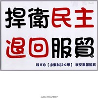 藏品(「 我反黑箱服貿」標語 )的圖片