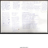 藏品(「有藍色的吐著白色唾沫的海」文件 )的圖片