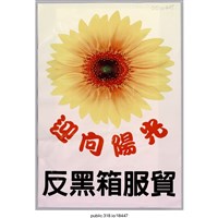 藏品(「迎向陽光」傳單 )的圖片
