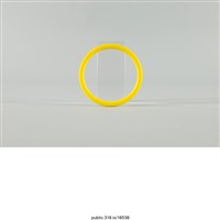 藏品(黃色手環)的圖片