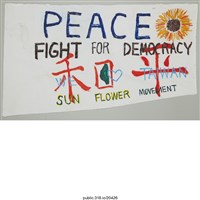 藏品(「和平」布條 )的圖片